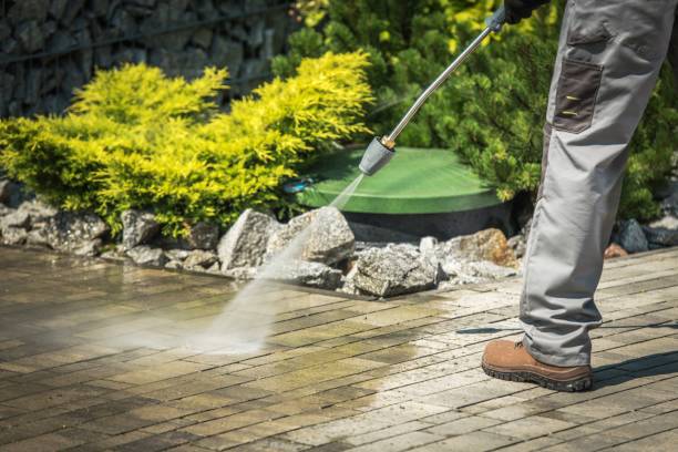 Best Soft Washing for Delicate Surfaces in Balch Springs, TX