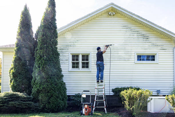 Best Gutter Cleaning and Brightening in Balch Springs, TX