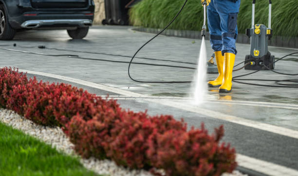 Best Graffiti Removal Services in Balch Springs, TX